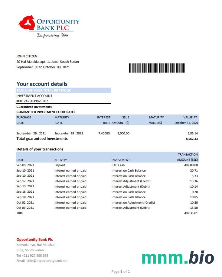 Szablon wyciągu bankowego w Sudanie Południowym w formacie Word i PDF